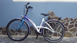 Batavus Gabana 26 G4 / Nexus 3 - Велосипеди з планетарною втулкою, фото 6