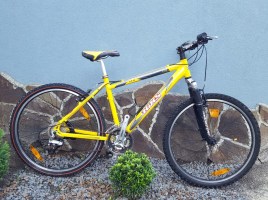 Гірські велосипеди Bixs Lite 26 M25