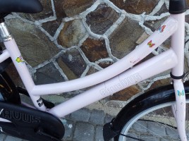 Batavus 24 G36 / Nexus 3 - Велосипеди з планетарною втулкою, фото 1