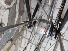TDS 28 M39 / Nexus 8 - Велосипеди з планетарною втулкою, фото 3