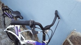 Batavus Gabana 26 G4 / Nexus 3 - Велосипеды с планетарной втулкой, фото 5