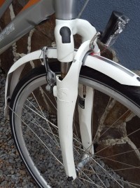 Sparta Ion-Rx 28 G60 / Nexus 8 - Велосипеды с планетарной втулкой, фото 6