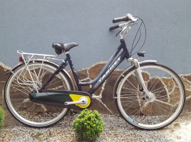 Велосипеды с планетарной втулкой Target 28 G62 / Nexus 8