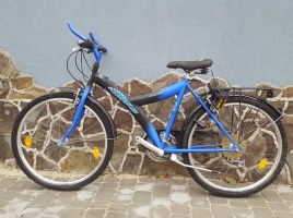 Pegasus Power 26 D35 - Купити гірський велосипед на 26
