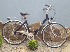 Велосипеды с планетарной втулкой Raleigh 28 D2 / Nexus 7