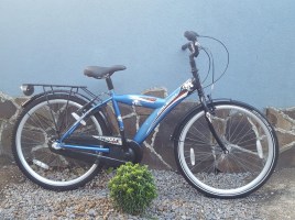 Велосипеди з планетарною втулкою Raleigh 26 G17 / Nexus 3