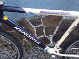 Kenosha 26 G22 - Купити гірський велосипед на 26