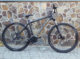 Haibike Bigcurve 9.30 29 G06 - Купити велосипед найнер на 29