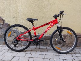 Детские и подростковые велосипеды Specialized Hotrock 24 M19
