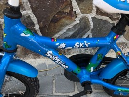 Superior Sky 12 M77 - Детские и подростковые велосипеды, фото 6